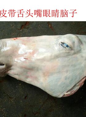 新鲜现杀马头生鲜正宗马头带舌头骨脑子马头脸肉现宰酒店专供驴头