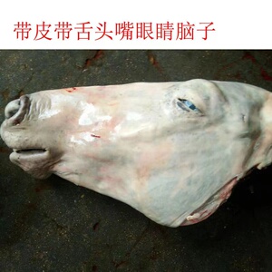 新鲜现杀马头生鲜正宗马头带舌头骨脑子马头脸肉现宰酒店专供驴头