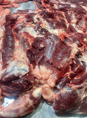 新鲜生骡马肉正宗带皮鲜现杀散装真空马肉整只火烧非驴肉非调理肉
