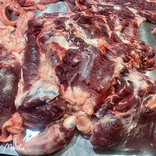 新鲜生骡马肉正宗带皮鲜现杀散装真空马肉整只火烧非驴肉非调理肉