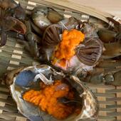 膏蟹红膏蟹鲜活螃蟹新鲜海鲜生腌清蒸煮粥红鲟饭1000克8 10只装