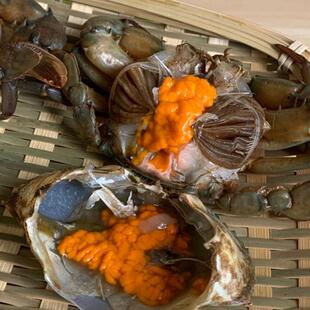 膏蟹红膏蟹鲜活螃蟹新鲜海鲜生腌清蒸煮粥红鲟饭1000克8-10只装