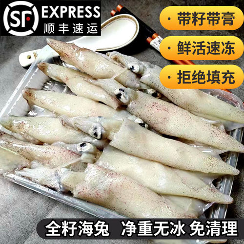 新鲜满籽海兔子籽乌笔管鱼生鲜