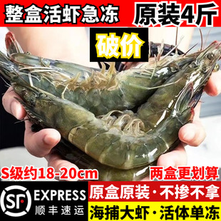 新鲜大虾鲜活速冻超大海虾整箱基围虾特大青虾国产白对虾4斤包邮