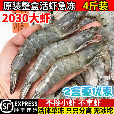 20302030大虾鲜活速冻超大海虾