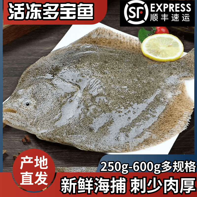 鲜活冷冻新鲜多宝鱼特大号比目鱼