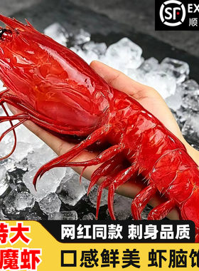 红魔虾鲜活特大刺身级即食甜虾