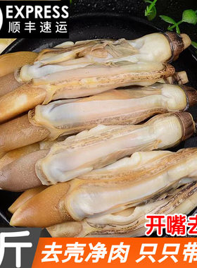 新鲜冷冻蛏王肉大个蛏子圣王肉