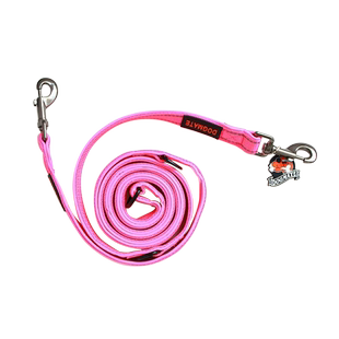 狗狗链子宠物狗牵引绳狗链狗绳多功能双头反光牵引绳可牵两只狗