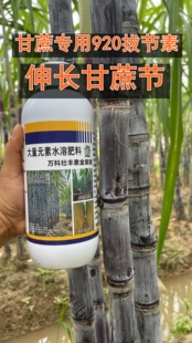 甘蔗万科壮丰素精装版甘蔗920生长素甘蔗叶面专用肥