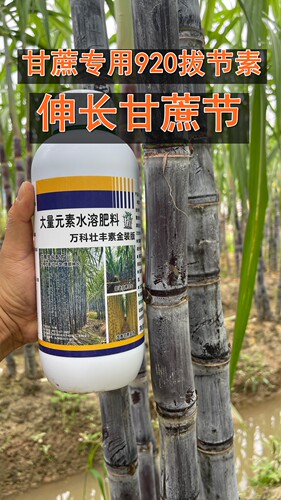 甘蔗万科壮丰素精装版甘蔗920生长素甘蔗叶面专用肥