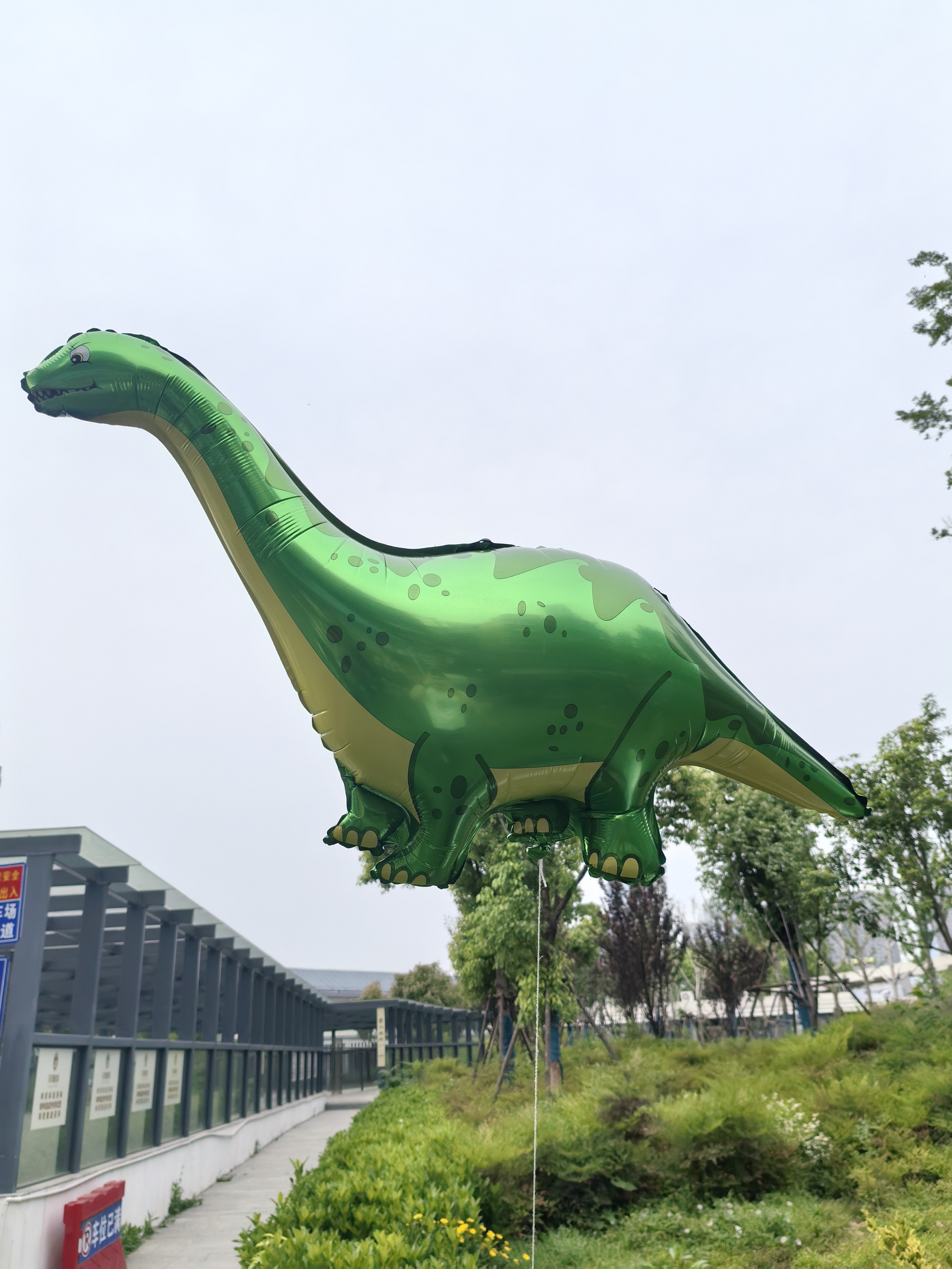 新款长颈龙气球恐龙飘空气球儿童玩具升空霸王龙气球充气玩具生日,节庆用品/礼品,飘空气球,淘宝优惠券,粉丝福利购,淘宝优惠卷