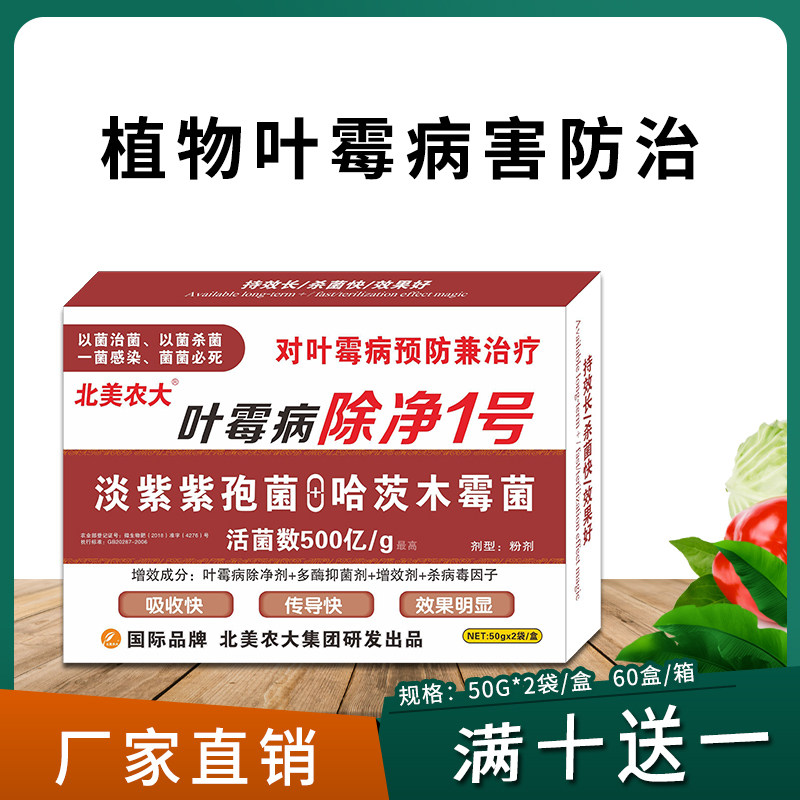 叶霉病除净1号番茄叶霉病农药杀菌剂 茄子辣椒西红柿叶霉病专用药