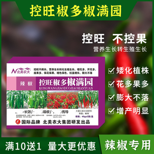 北美农大辣椒控旺椒多椒满园辣椒控旺专用药控旺剂增产调节矮壮素