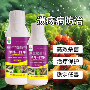 溃疡病一打净柚子猕猴桃果树柑橘溃疡病特效杀菌剂微生物菌剂正品