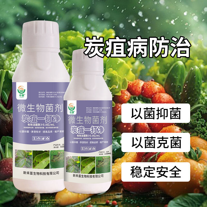 炭疽病一打净杀菌剂果树草莓番茄辣椒柑橘花卉炭疽病专用药正品
