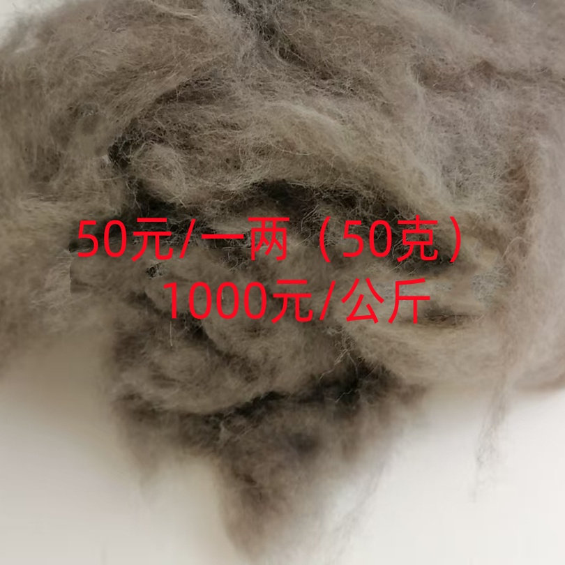高等动物绒毛貂绒貉子绒