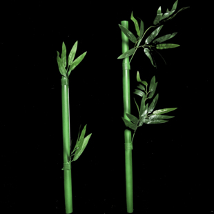 竹子表演道具竹三尺舞蹈演出服定制表演服装第十三届小荷风采新款