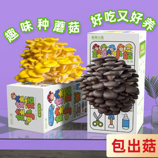 儿童创意生日礼物品送小朋友全大班同伴手礼分享幼儿园小学生奖励