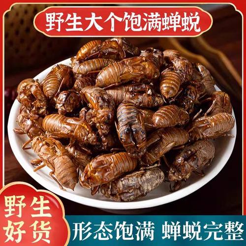 野生蝉蜕知了皮可打粉包邮
