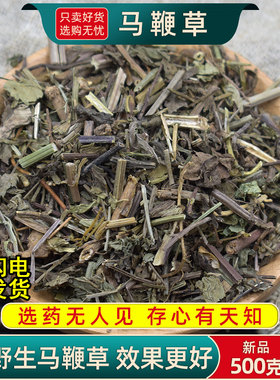 马鞭草中药材正品马鞭草铁马鞭