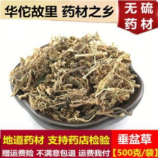 中药材野生垂盆草 垂盆草干货 垂盆草茶野生垂盆草新货500克包邮