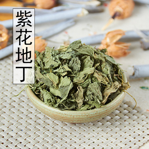 犁头草中药材包邮新货