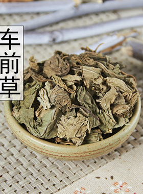 中药材正品新货野生车前草干500g克手工精选无硫天然车轮菜中草药