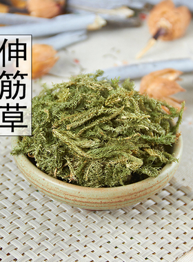 新货伸筋草野生舒筋草 透骨草 三宝茶原料远志益智仁500克可磨粉
