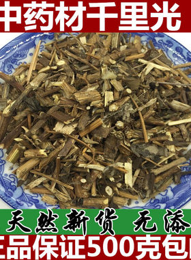 野生千里光天然中药材包邮