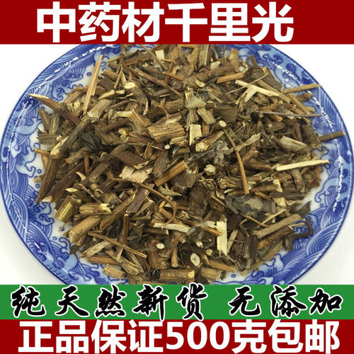 野生千里光天然中药材包邮