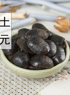 无硫散装土鳖虫中药材