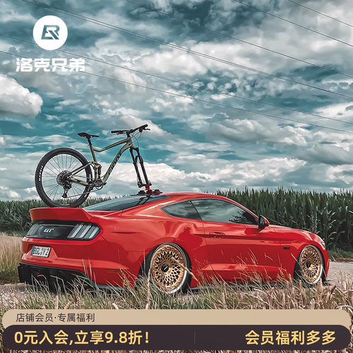 洛克兄弟吸盘式强力公路自行车