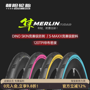 朝阳隼H 28C竞赛折叠自行车轮胎 496公路车外胎眼镜蛇PRO700×25