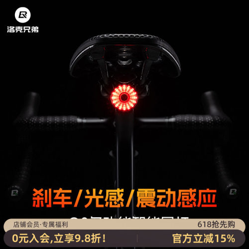 洛克兄弟山地公路自行车夜骑尾灯刹车感应儿童照明灯骑行装备配件