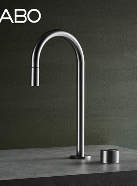 观博GABO 不锈钢厨房水槽龙头双孔可旋转抽拉式冷热水龙头18M016B
