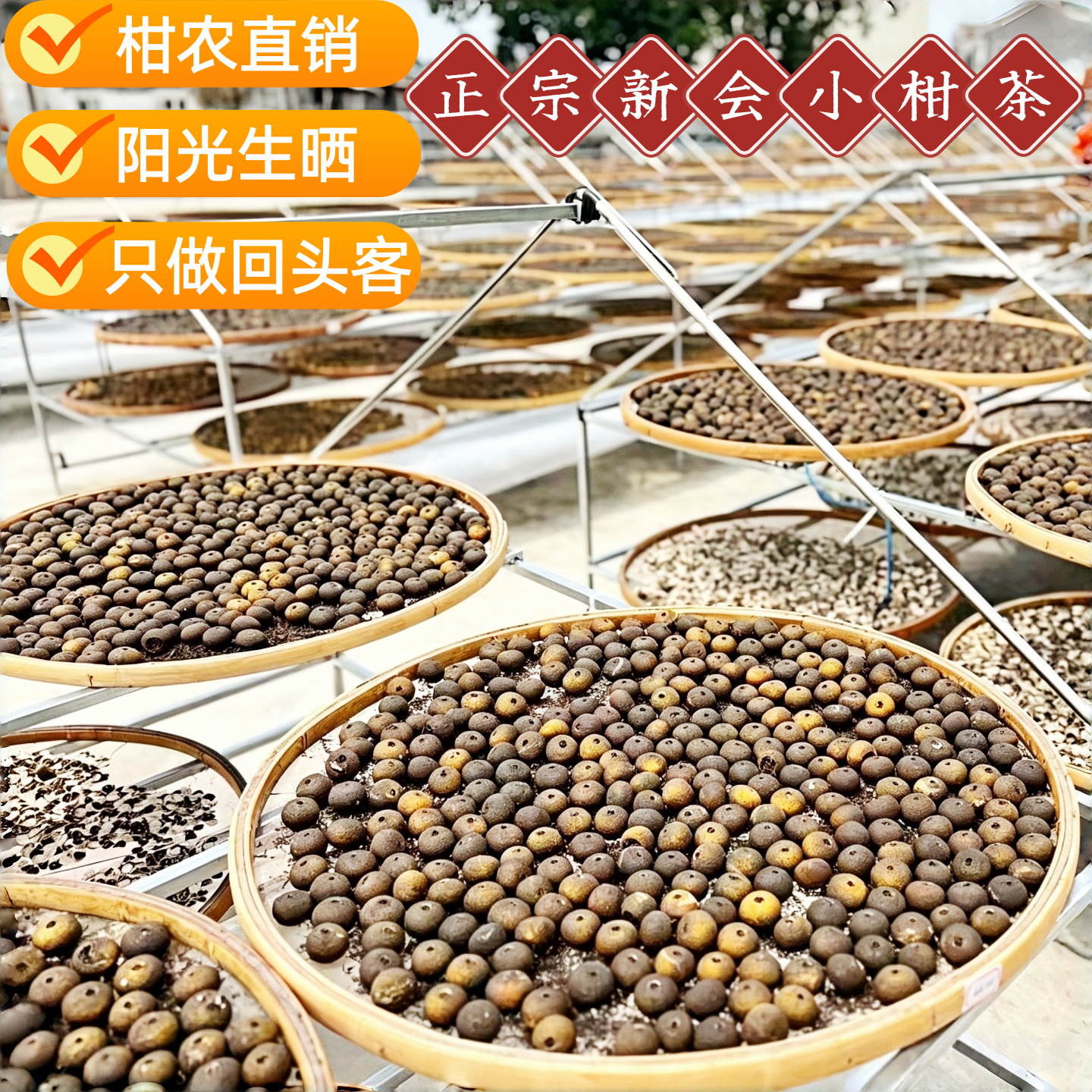 新会小青柑普茶正宗新会陈皮农家生晒大红柑桔普茶云南宫廷熟茶叶