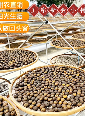 新会小青柑普茶正宗新会陈皮农家生晒大红柑桔普茶云南宫廷熟茶叶