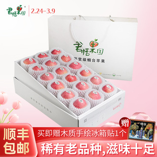 君恬果园鉴赏级小国光苹果栖霞老品种新鲜水果礼盒65mm18颗