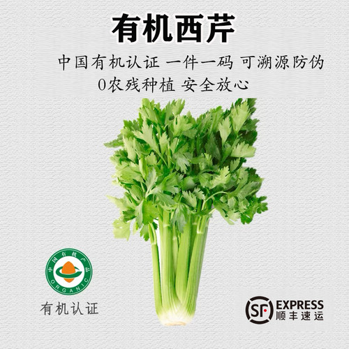 云南有机西芹新鲜芹菜即食蔬菜榨汁专用沙拉现摘现发农产品无农残