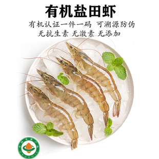 【新品】有机盐田虾无抗鲜虾生态活虾冷冻大虾渤海水产无添加虾仁