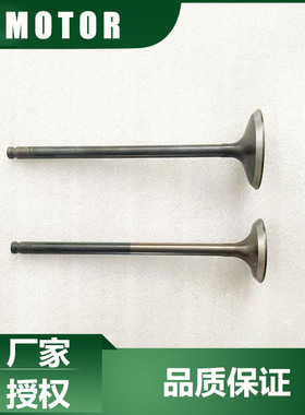 QJMOTOR摩托原厂配件赛600RS赛800进气门QJ700GS-L/800GS-G排气门