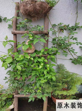 复古风格手工实木耐腐装饰楼梯场景客厅布置幼儿园装饰木梯子花架