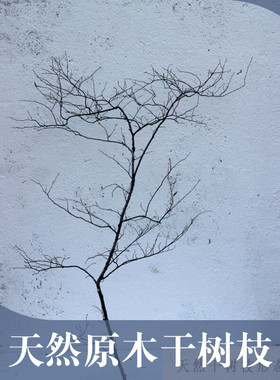 天然干树枝造景禅意树枝干枝装饰造型树原木树枝插花多分叉真树枝