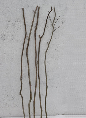 原木干树枝装饰天然小木棍树干干树枝墙面装饰画幼儿园背景墙造景