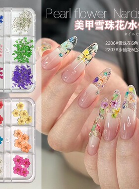 6色满天星水仙美甲干花真花盒装