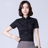 薄款 暗门襟黑色半袖 女士短袖 商务休闲职业工装 衬衣防走光 衬衫 夏季