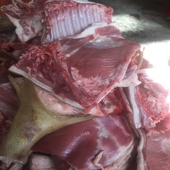 新鲜蕨麻猪肉甘南藏区特产散养藏香猪高原扎尕那黑猪甘肃农产品