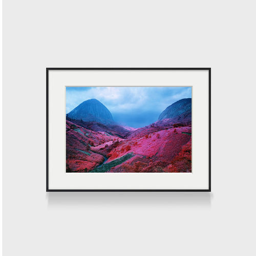 richard mosse 玛格南摄影师装饰画酒店餐厅彩色风景摄影公寓挂画