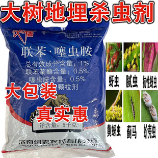 A大树用地埋杀虫剂颗粒联苯噻虫胺地下施药地上无蚜虫腻虫小黑飞